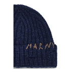 Beanie Hat