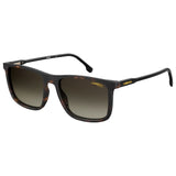 Brown Injected Sunglasses