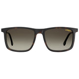 Brown Injected Sunglasses